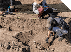 Archaeologists excavating bones at a dig site.