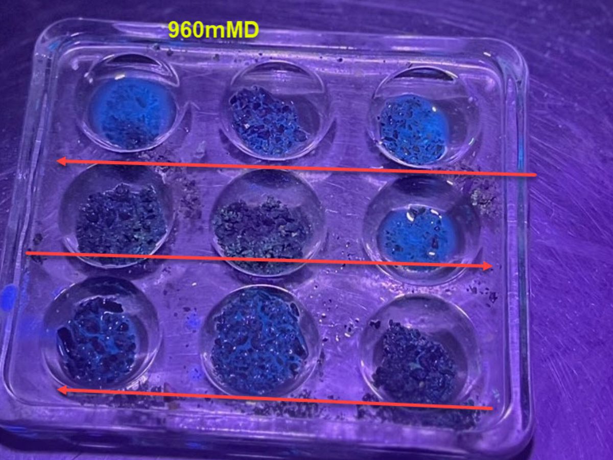 A tray of blue plastic with some kind of substance in it