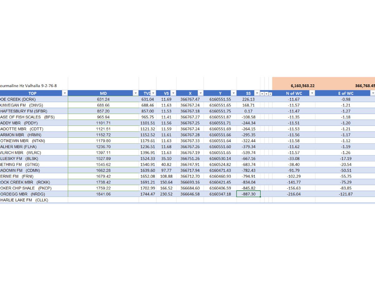 A spreadsheet with multiple columns and numbers.
