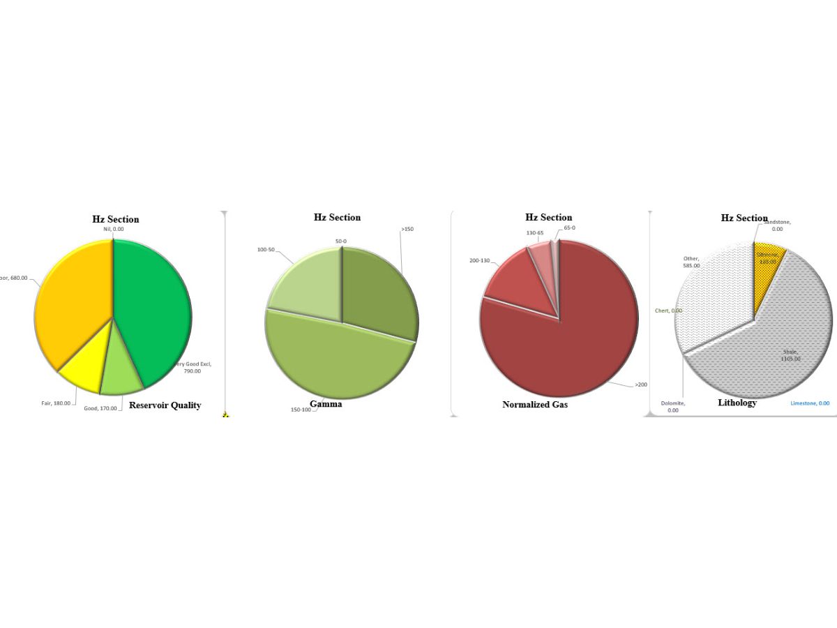 A series of pie charts showing different colors.