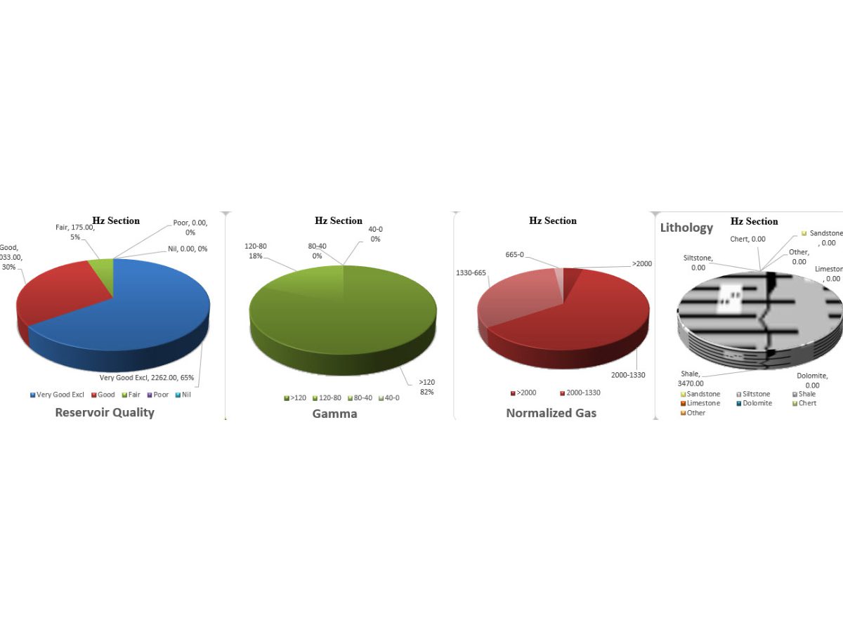 A series of pie charts showing the various types of data.