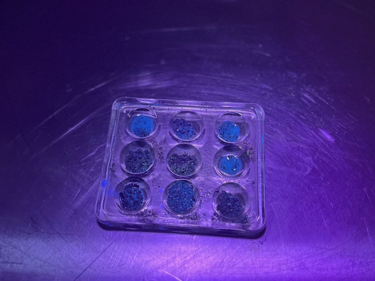 A square glass plate with blue and purple buttons.