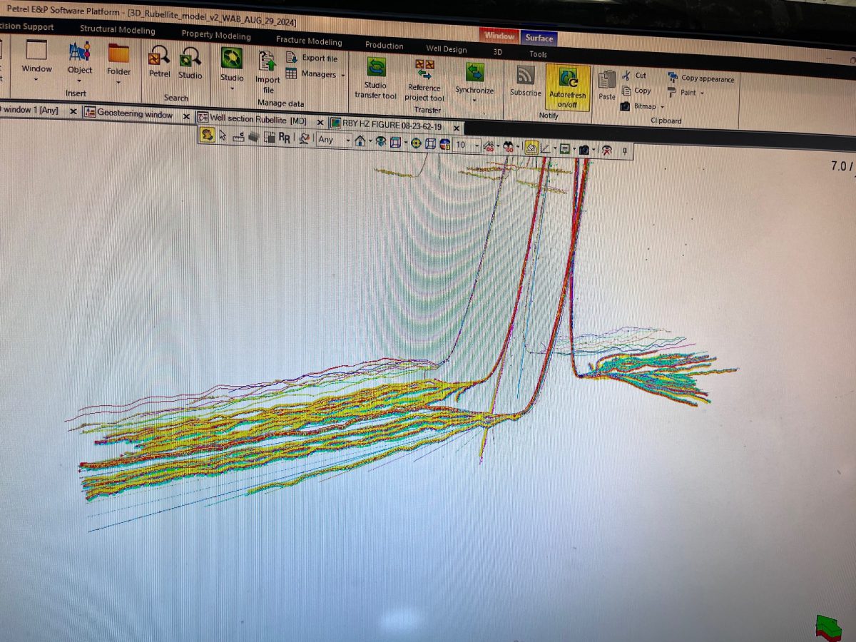 A computer screen with a drawing of a line