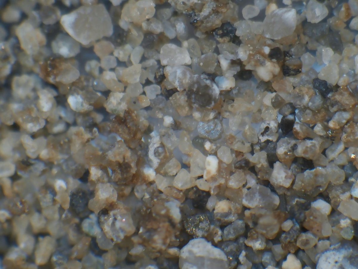 A close up of some rocks on the beach